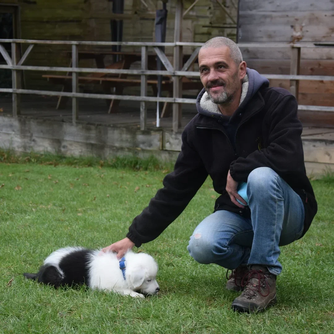 Bruno comportementaliste canin VDB Education canine