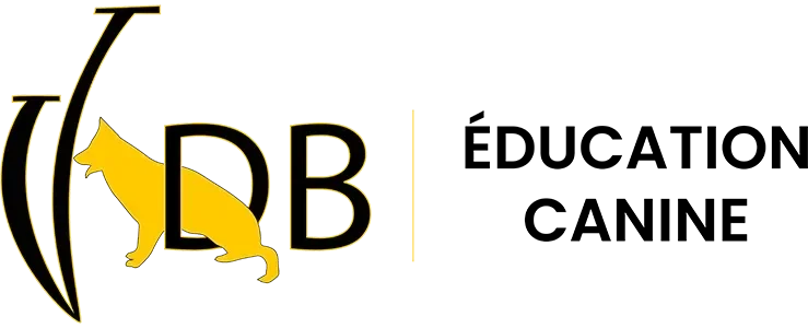 centre VDB education canin couleur